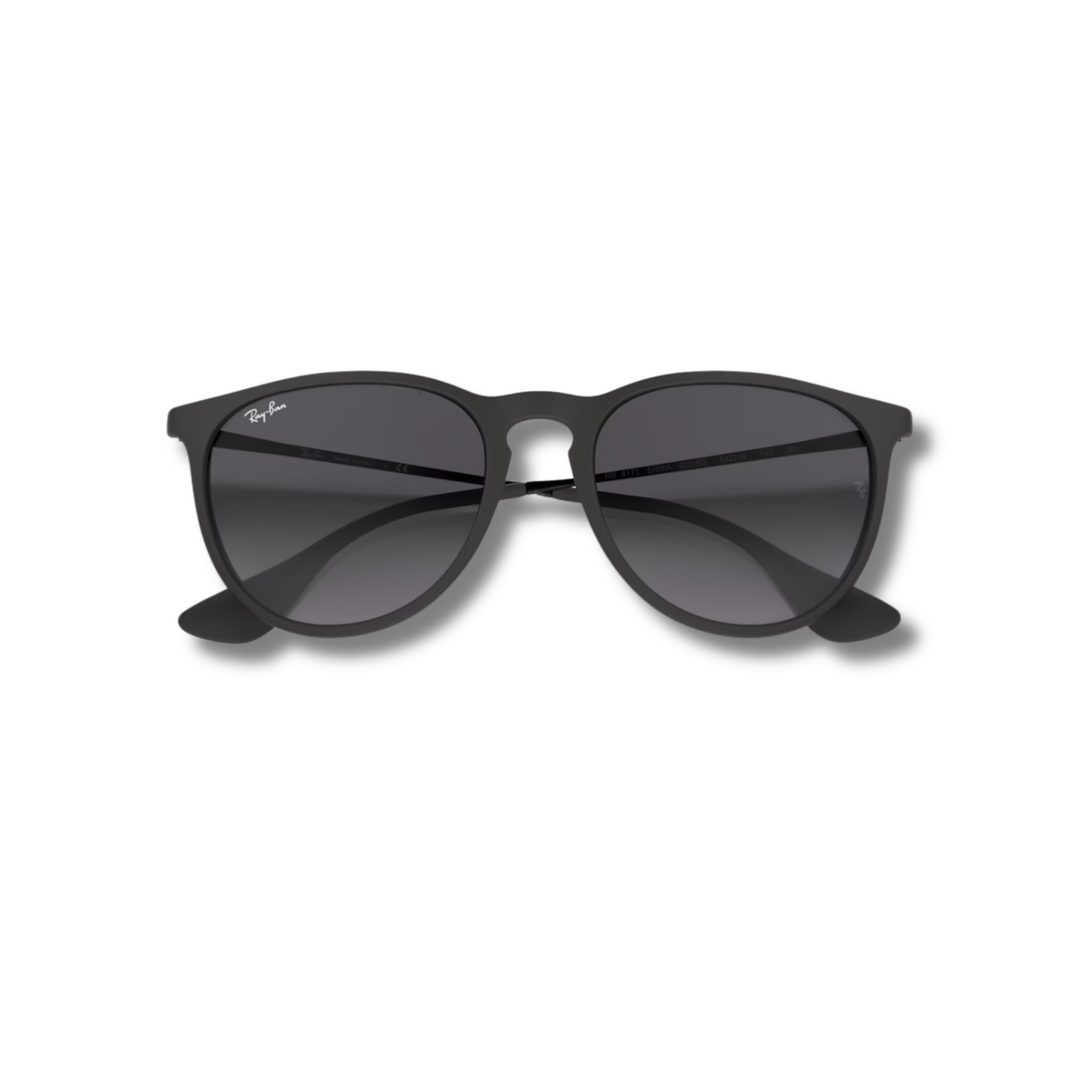 Ray Ban Erika Black
