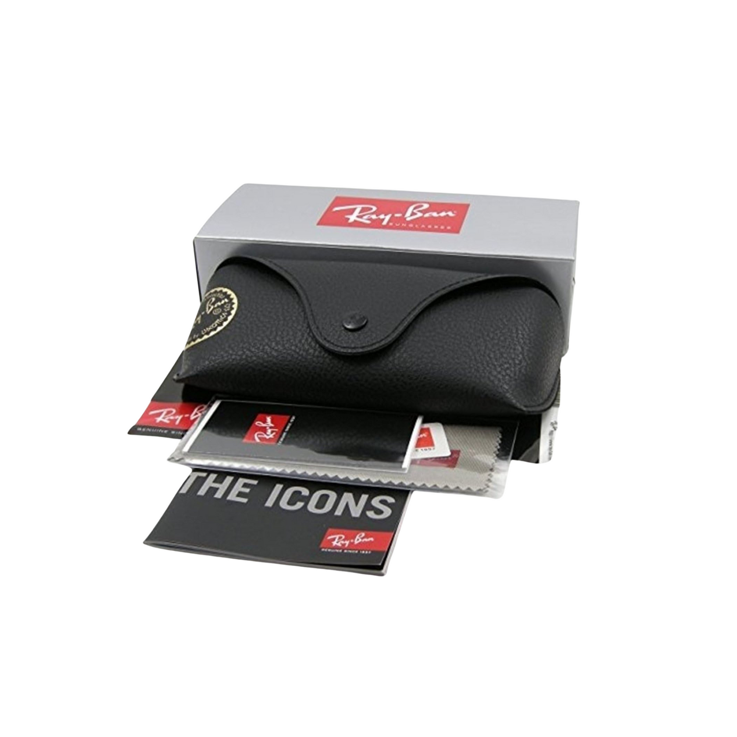 Ray Ban Chris Black