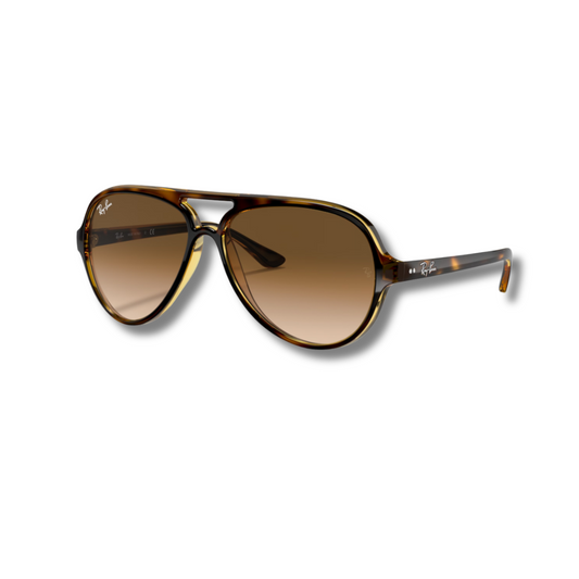 Ray Ban Cats 5000 Carey
