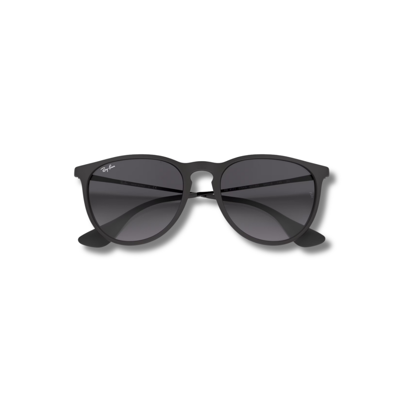Gafas de Sol RB Erika Black