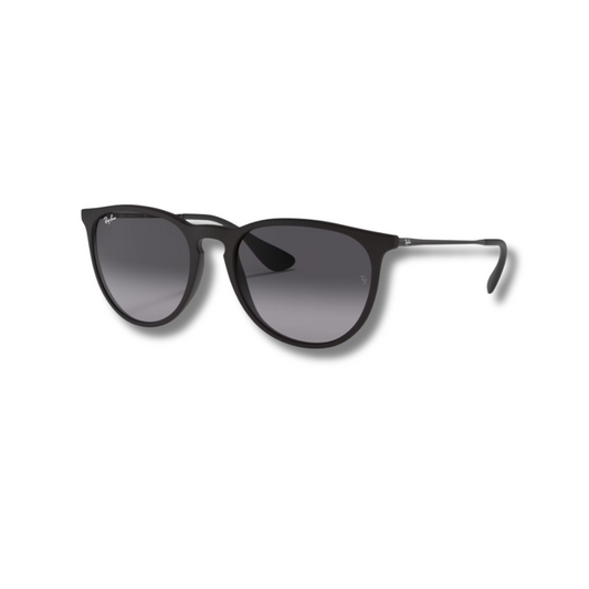 Ray Ban Erika Black