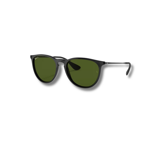 Ray Ban Erika Classic